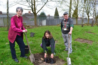 MP Valerie and volunteers planted trees